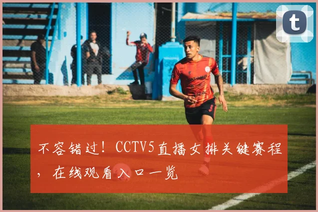 不容错过！CCTV5直播女排关键赛程，在线观看入口一览