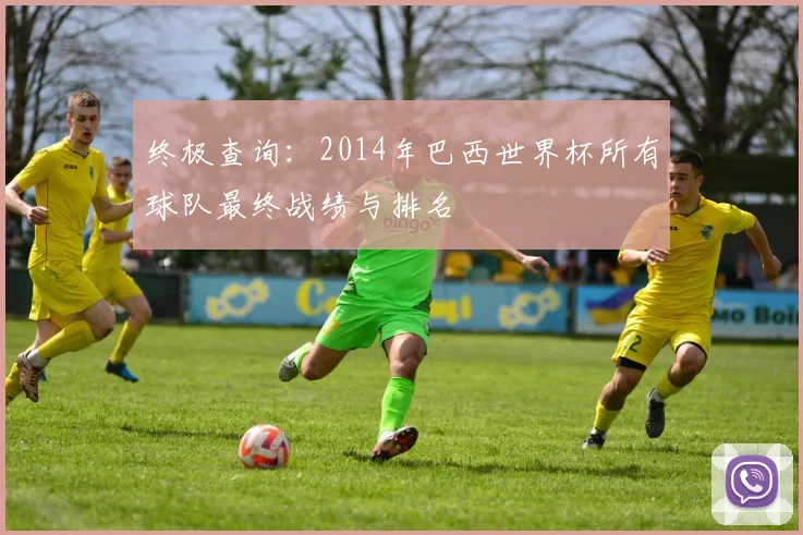 终极查询:2014年巴西世界杯所有球队最终战绩与排名