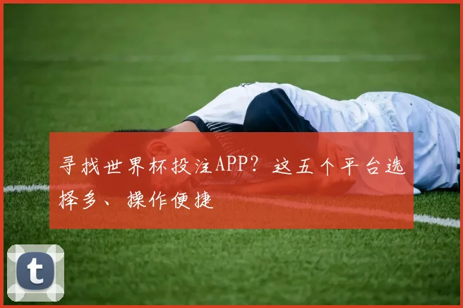 寻找世界杯投注APP?这五个平台选择多、操作便捷
