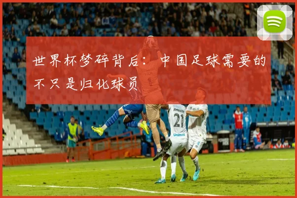 世界杯梦碎背后:中国足球需要的不只是归化球员