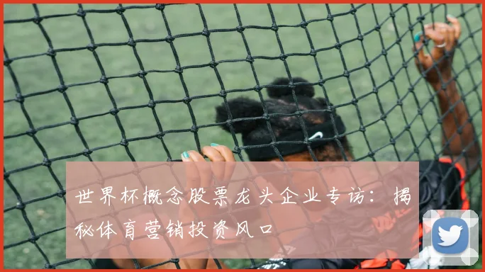 世界杯概念股票龙头企业专访:揭秘体育营销投资风口