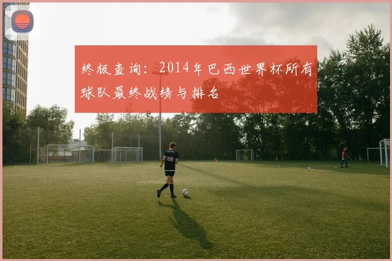 终极查询:2014年巴西世界杯所有球队最终战绩与排名