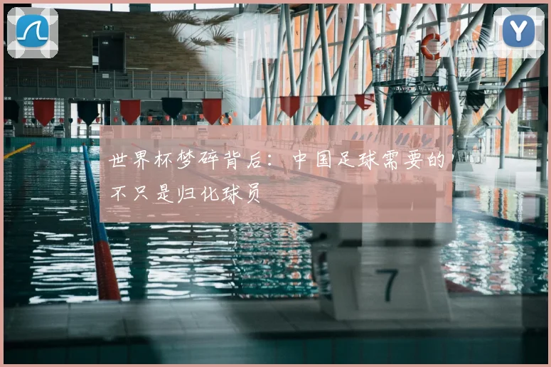 世界杯梦碎背后:中国足球需要的不只是归化球员