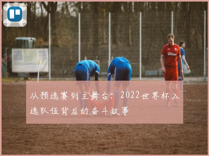 从预选赛到主舞台：2022世界杯入选队伍背后的奋斗故事